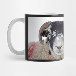 Swaledale Ewe in Snow Mug